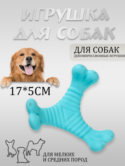 3bf365f6adfaa4de1b33520972791ad2.png