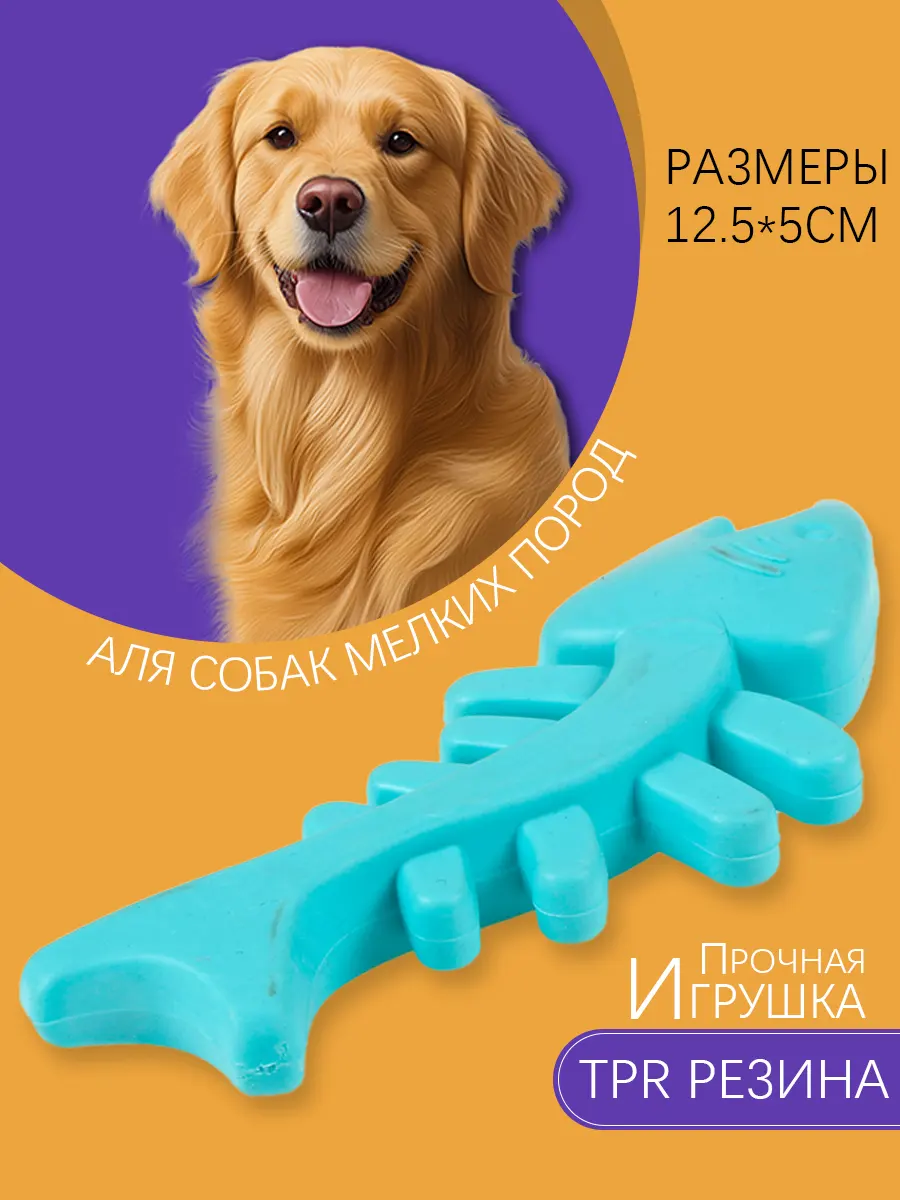 主图