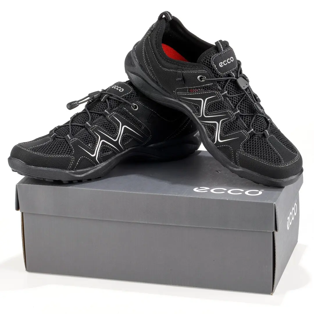 wsxc1735508322990 4