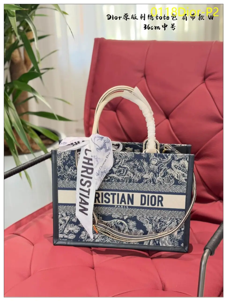 0118Dior P2