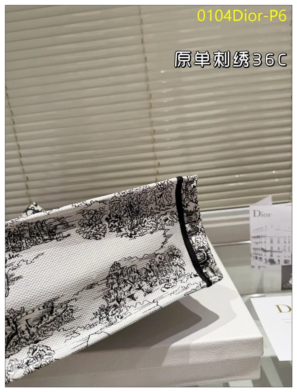 0104Dior P6