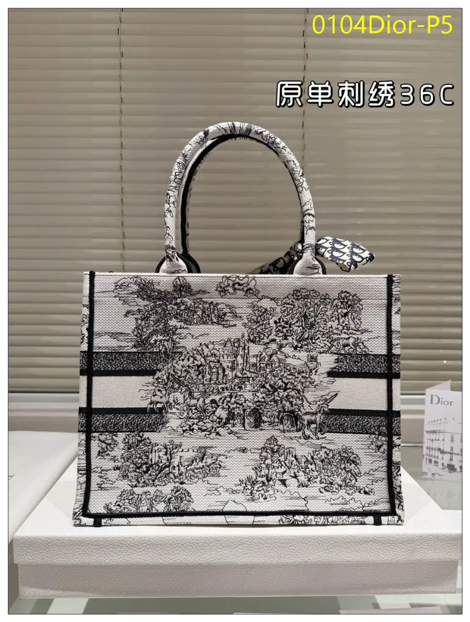 0104Dior P5