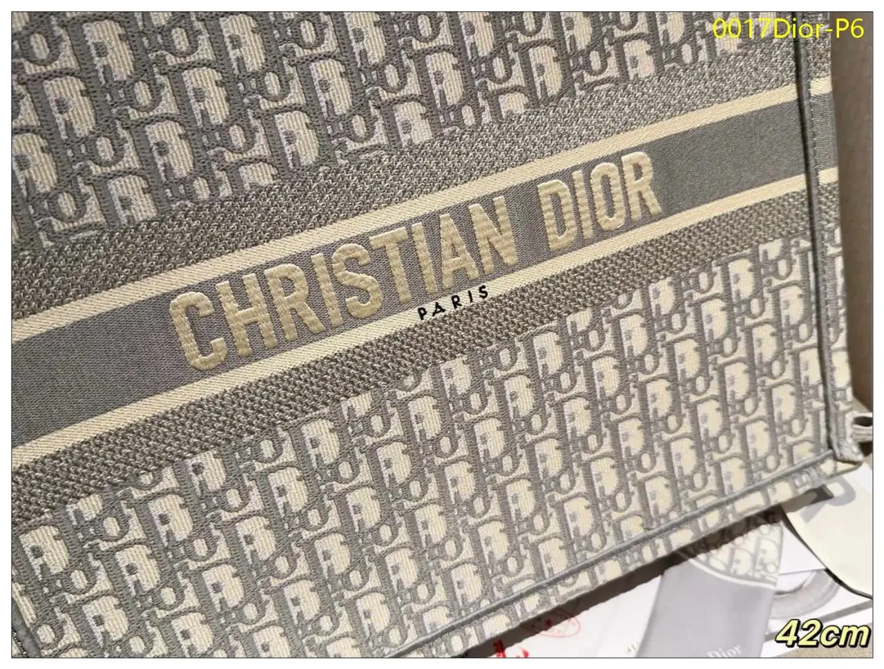 0017Dior P6