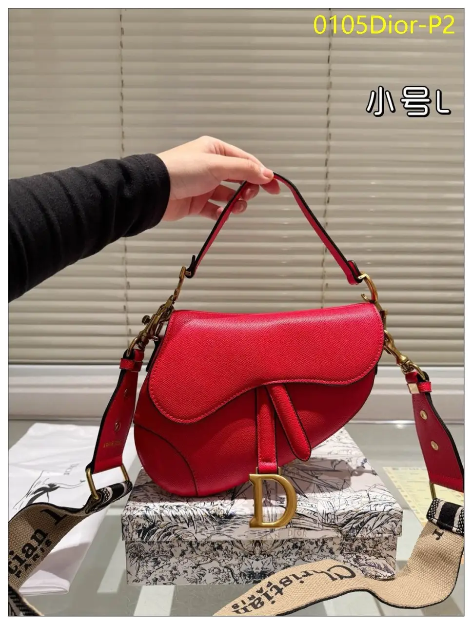 0105Dior P2