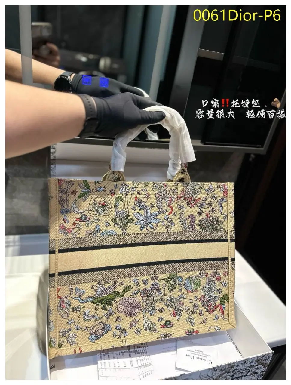 0061Dior P6
