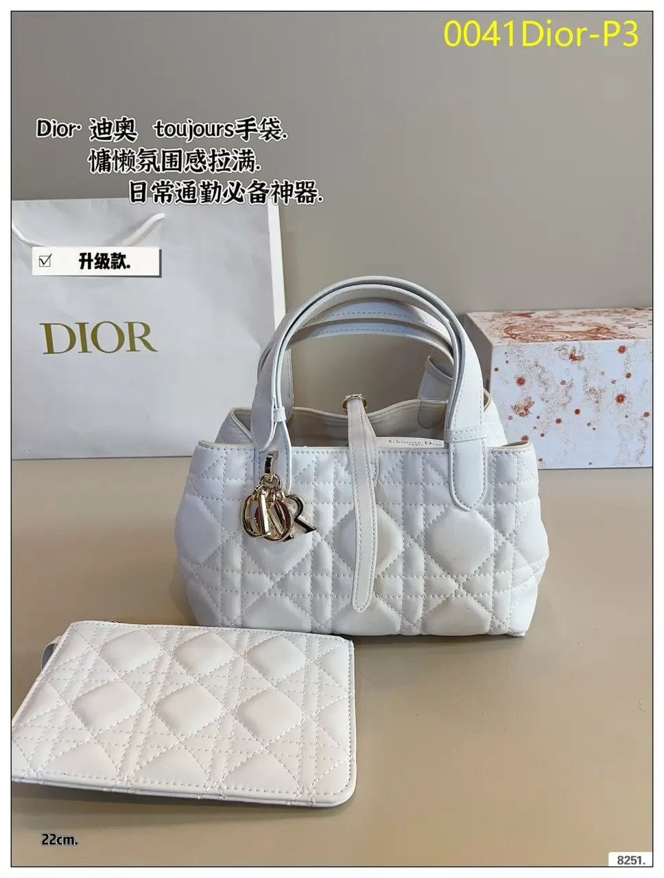0041Dior P3