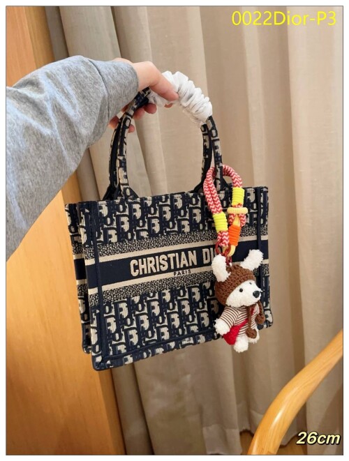 0022Dior P3