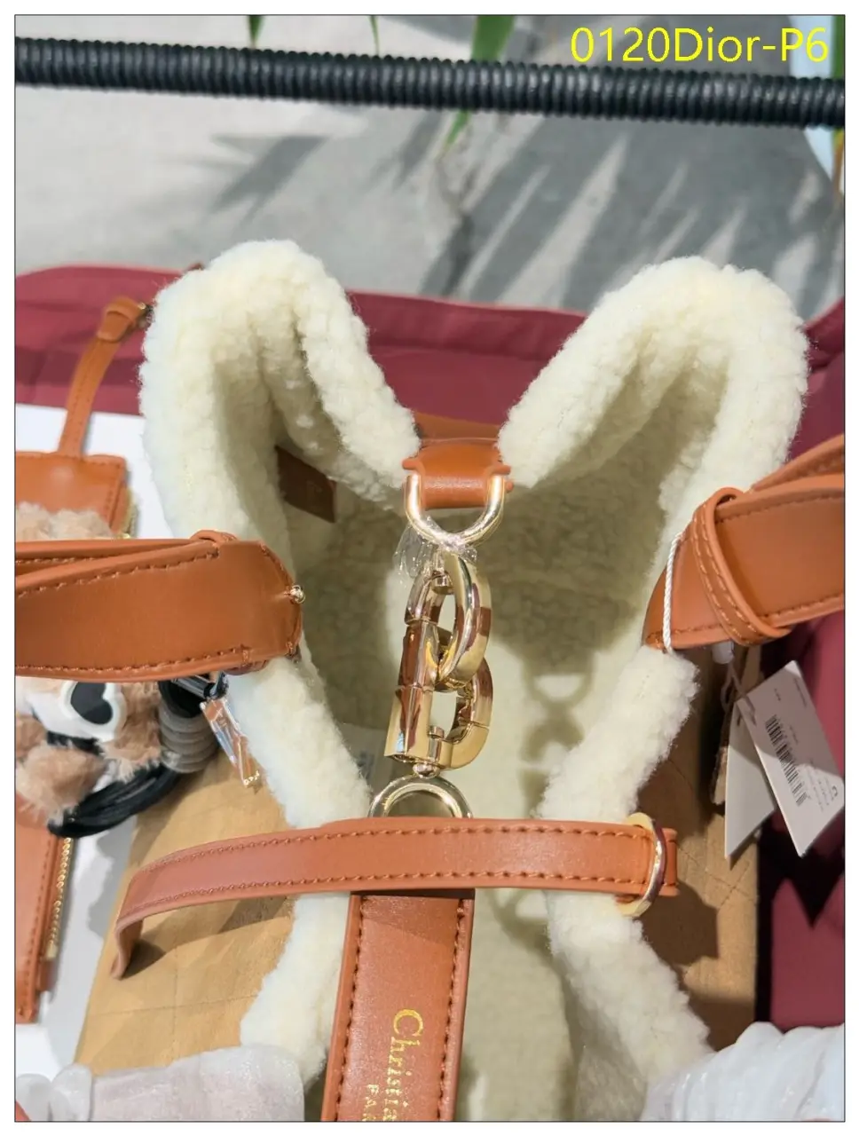0120Dior P6