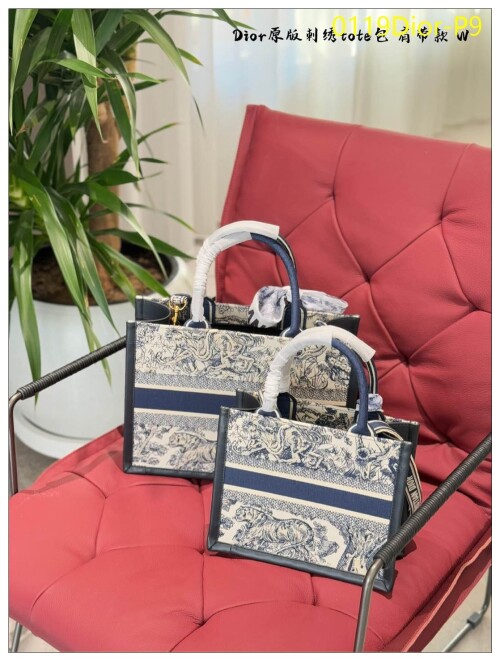 0119Dior P9