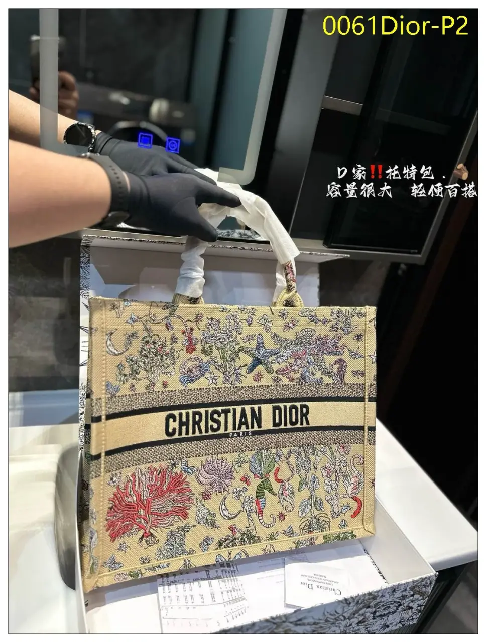 0061Dior P2