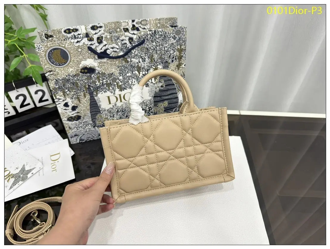 0101Dior P3