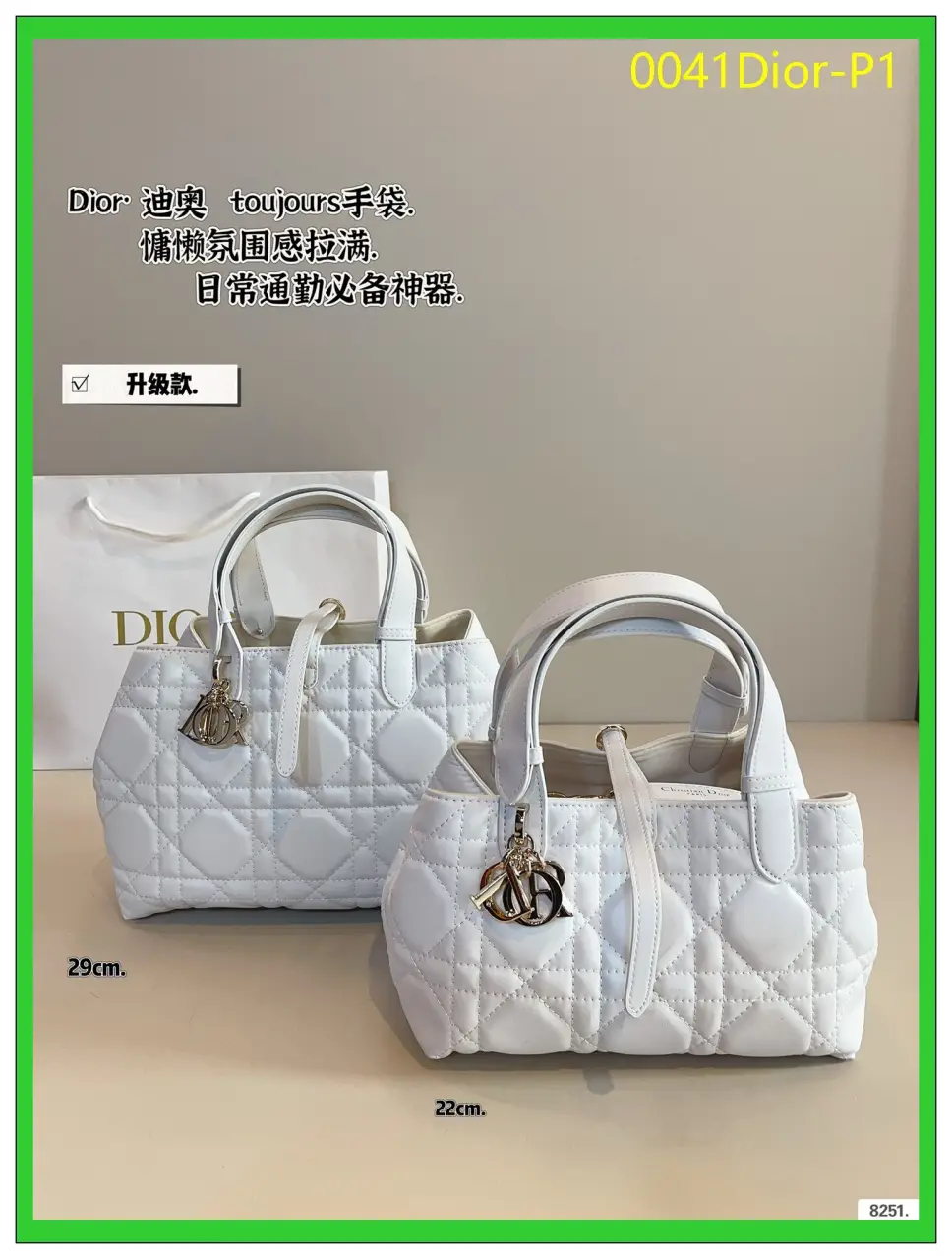 0041Dior P1