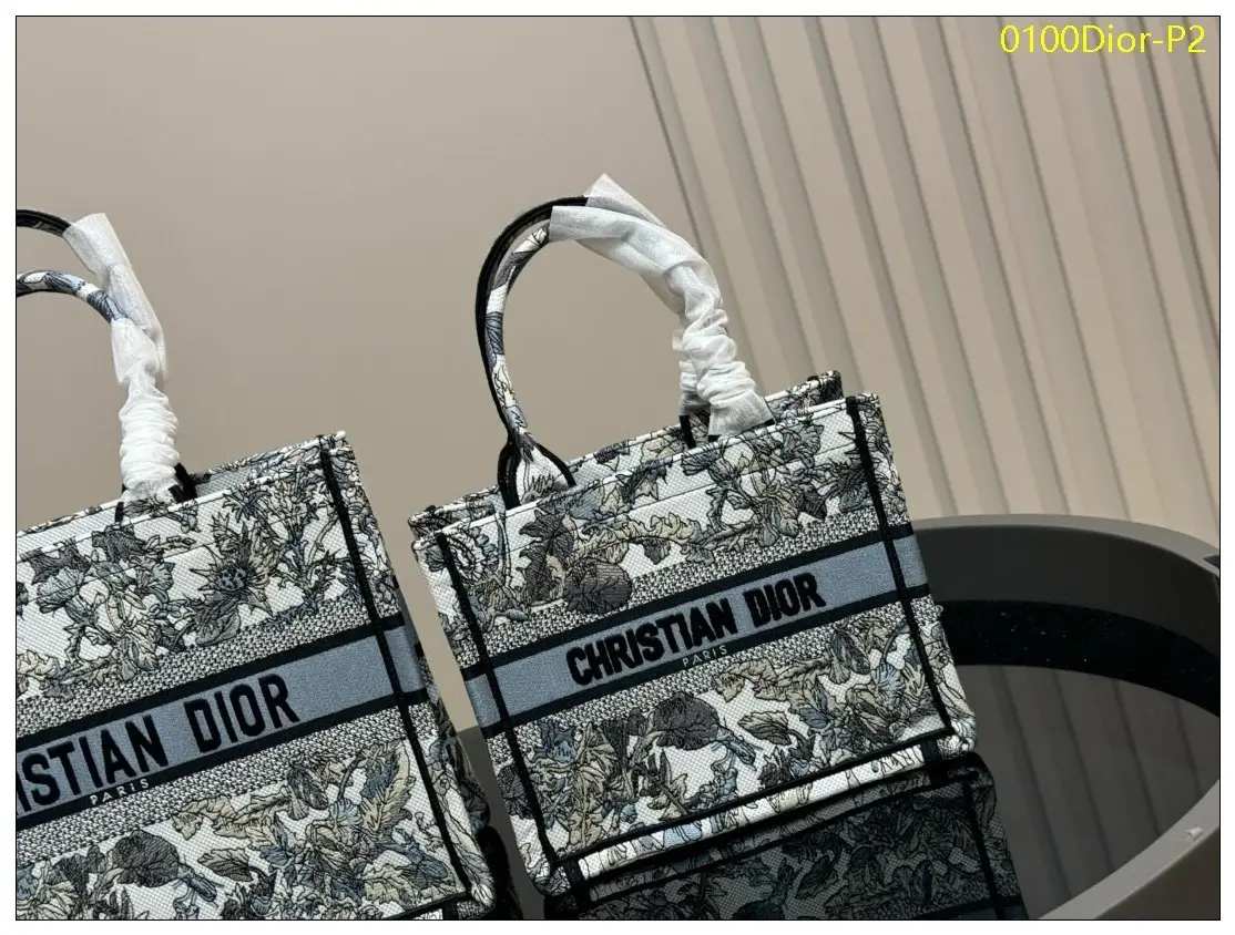 0100Dior P2