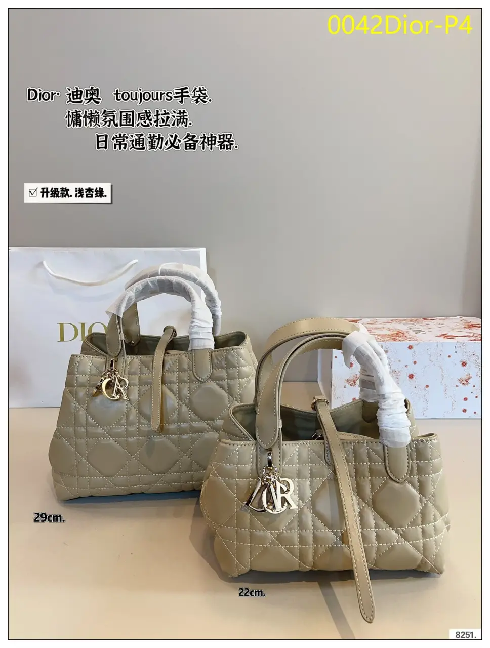 0042Dior P4