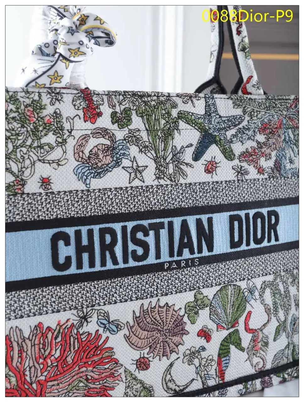 0088Dior P9