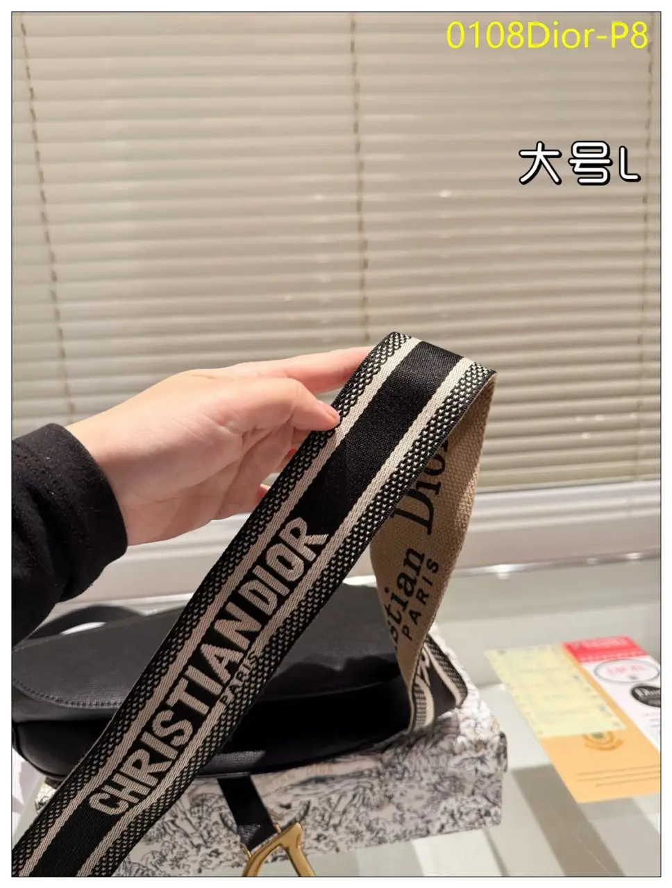 0108Dior P8