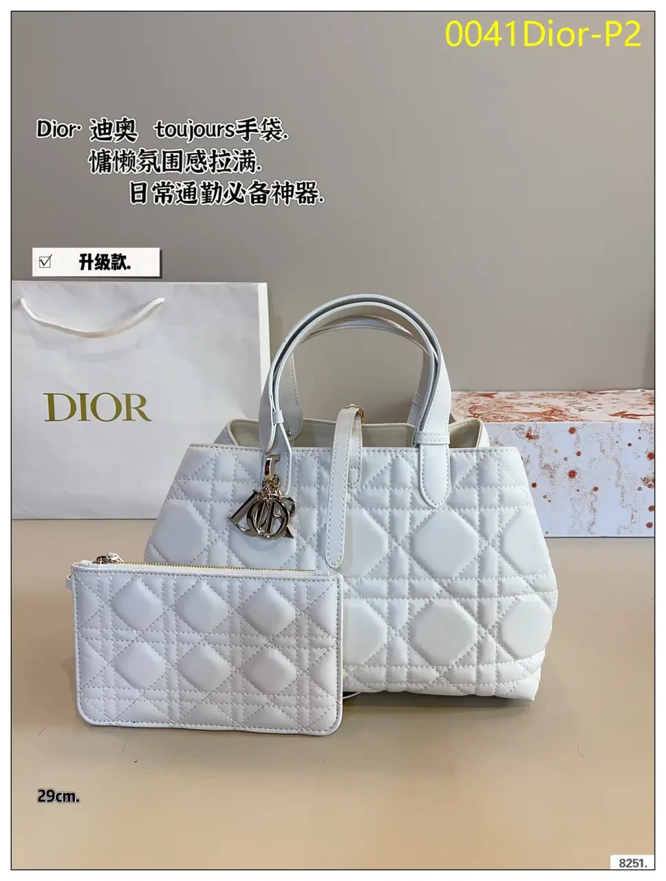 0041Dior P2