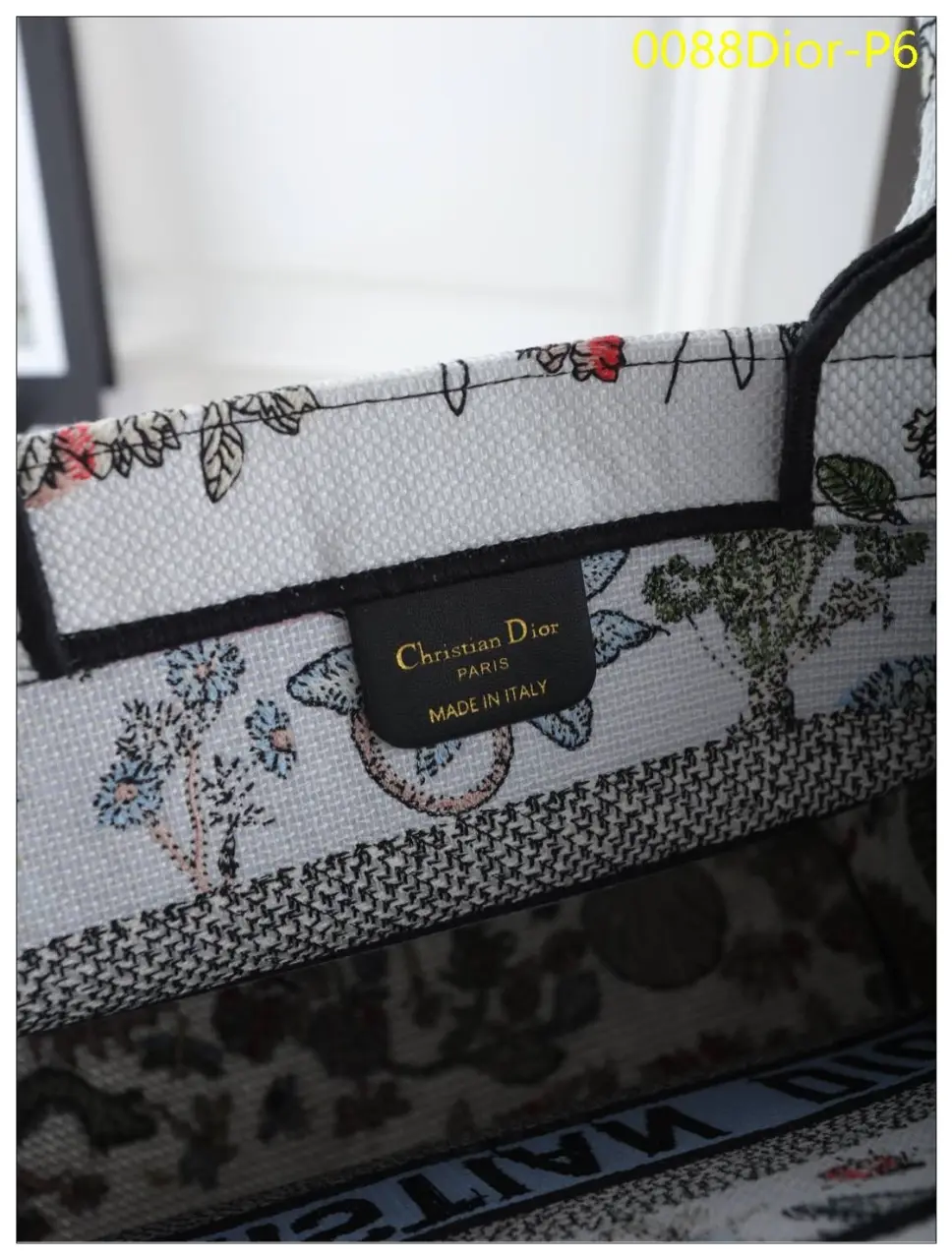 0088Dior P6
