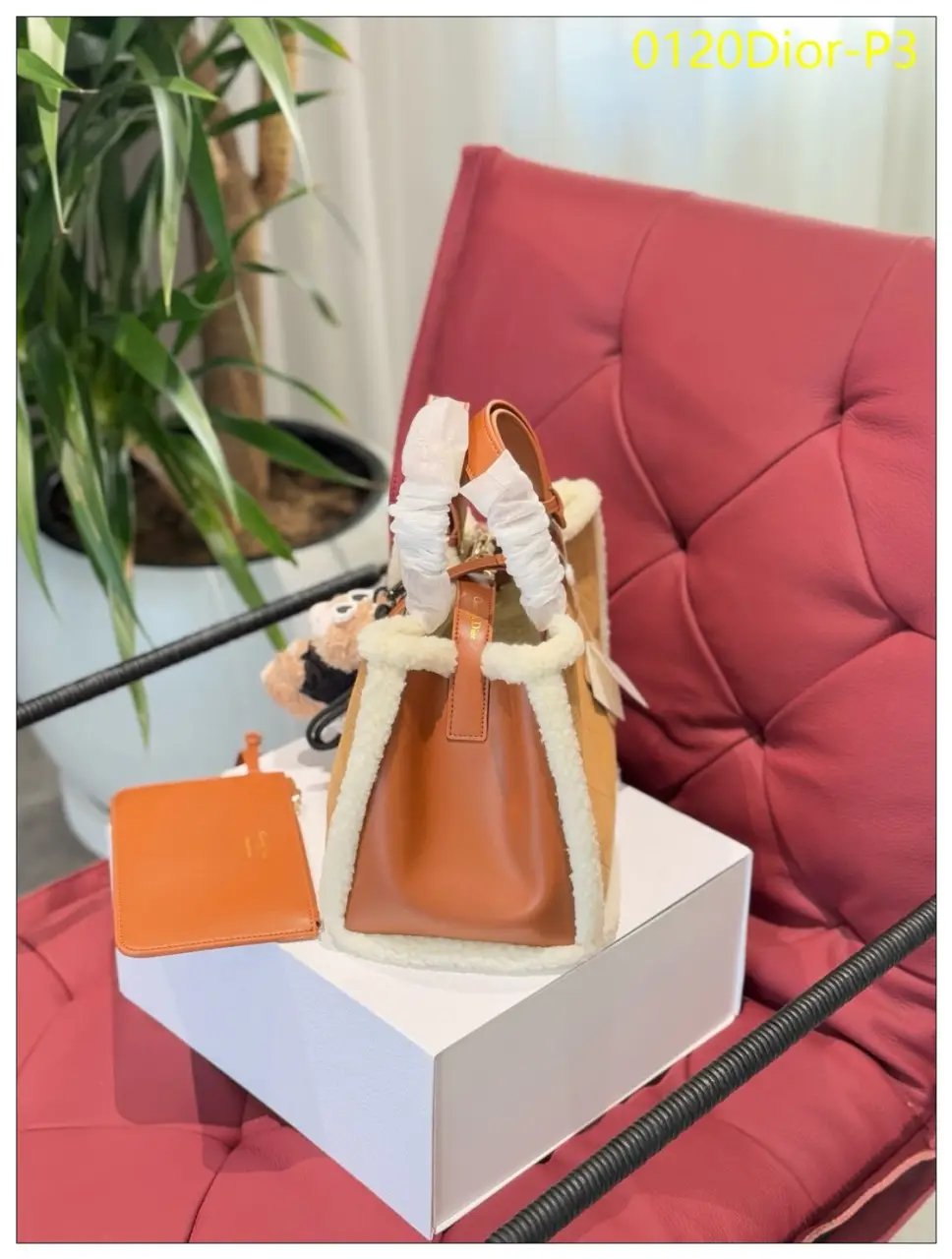 0120Dior P3