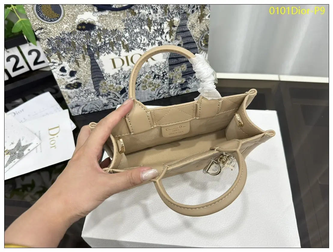 0101Dior P9