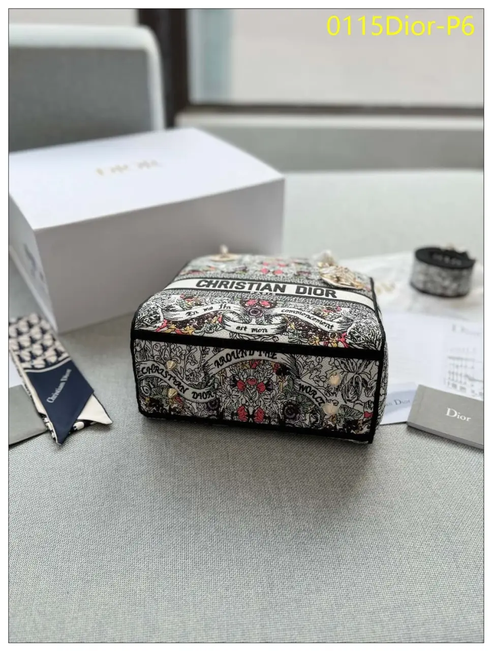 0115Dior P6