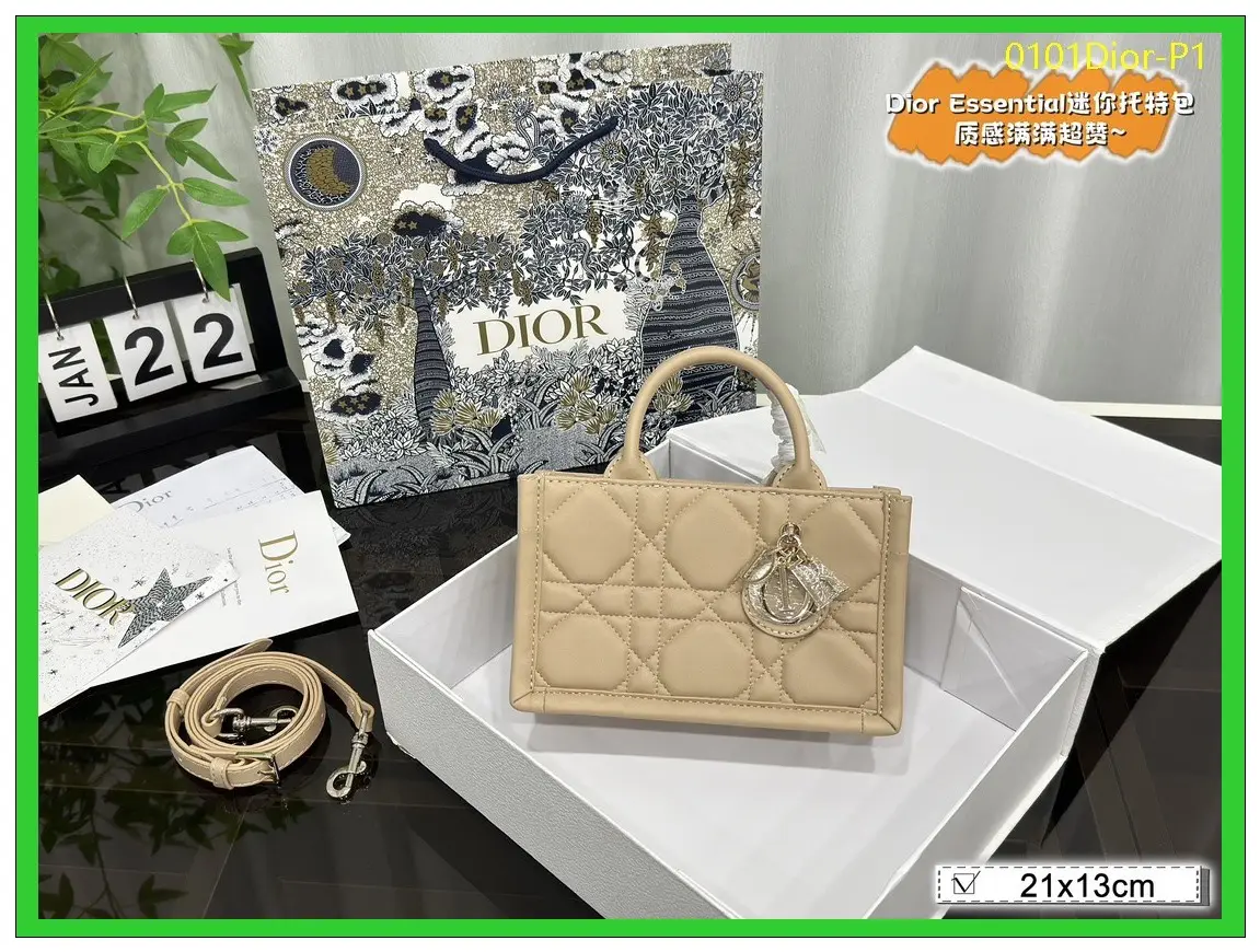 0101Dior P1