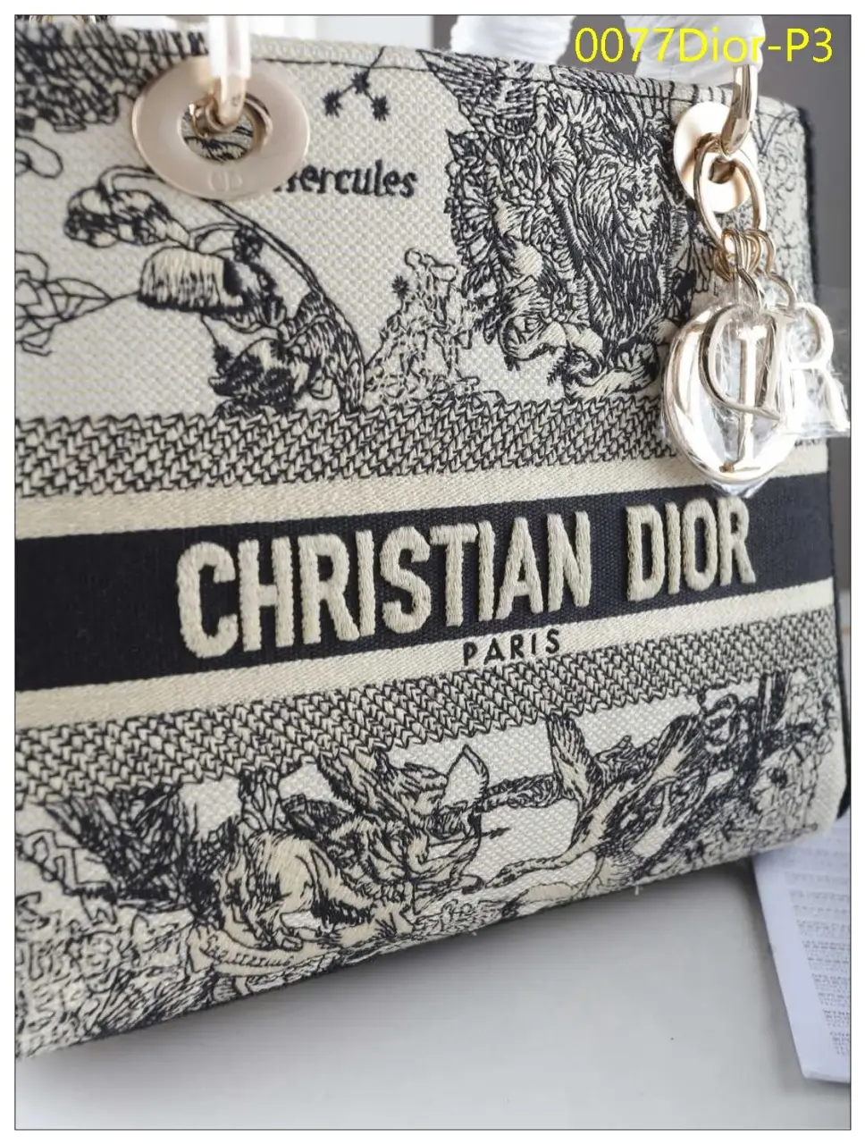 0077Dior P3