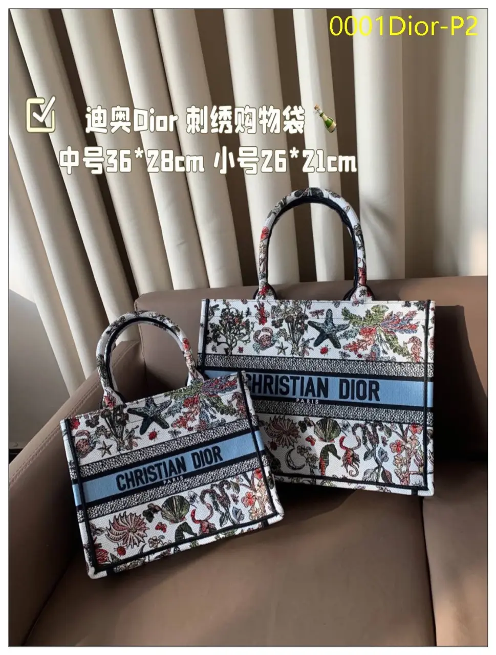 0001Dior P2