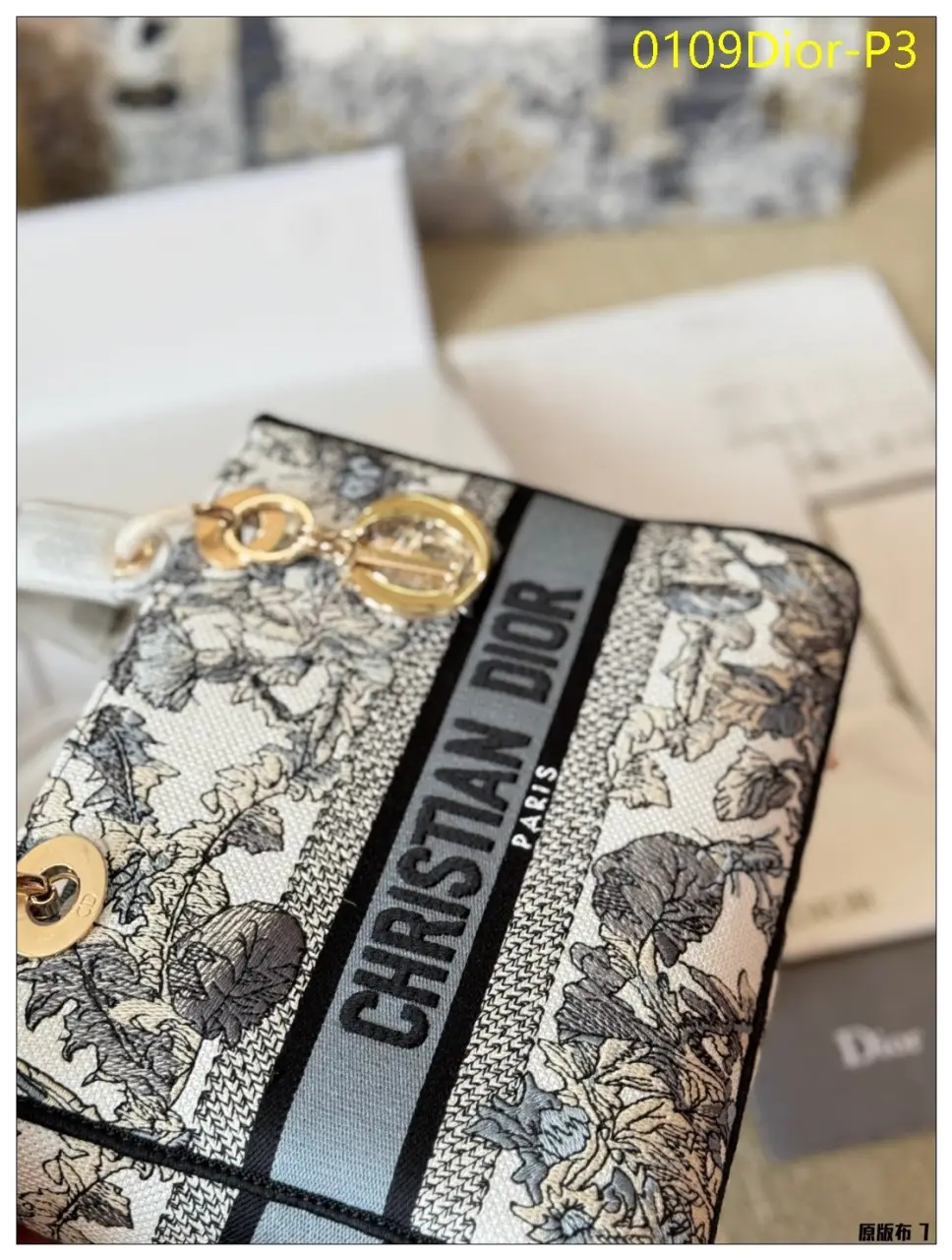 0109Dior P3
