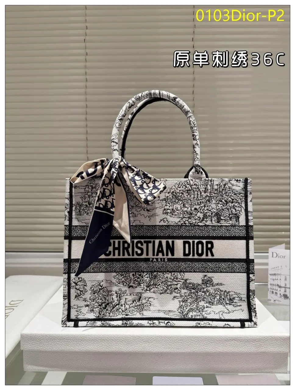 0103Dior P2