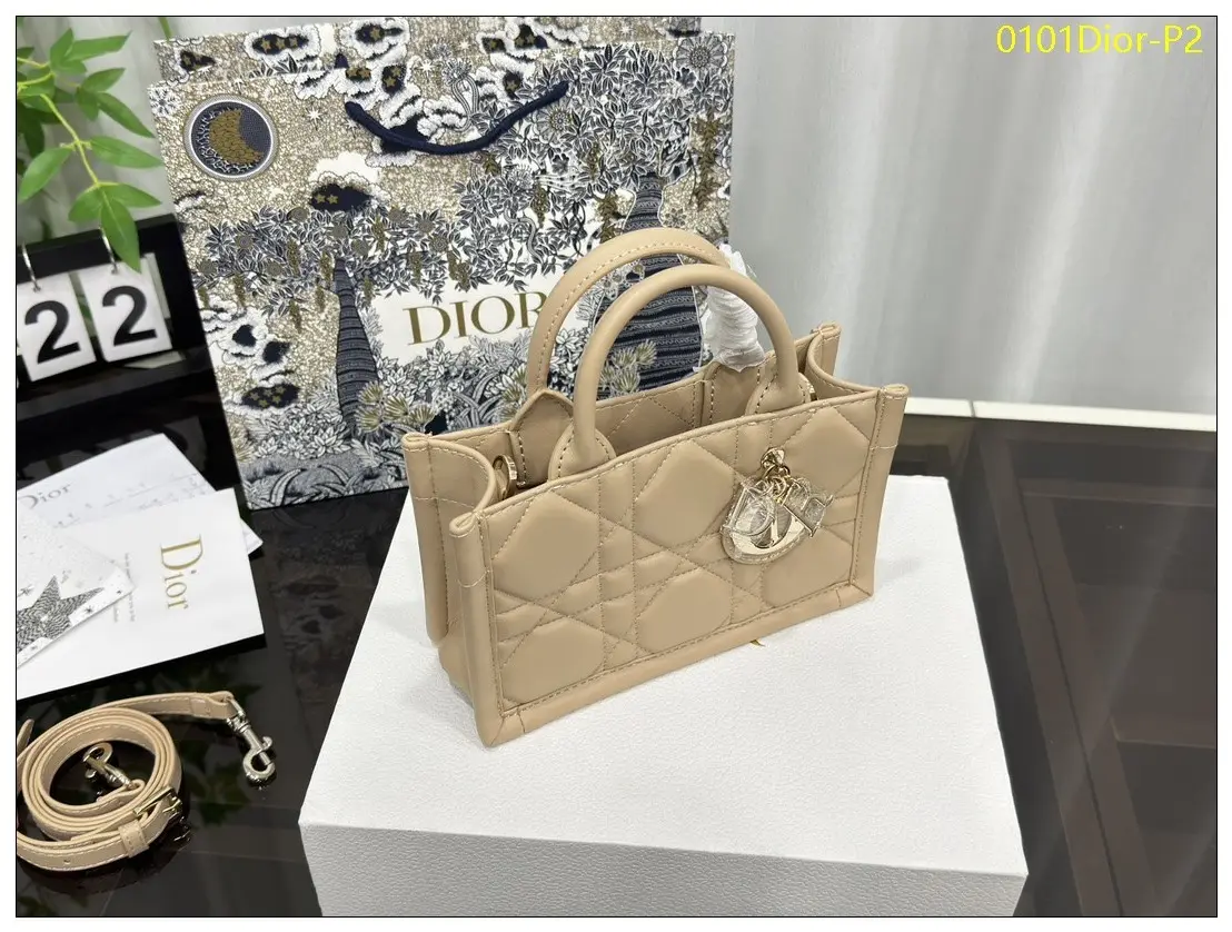 0101Dior P2