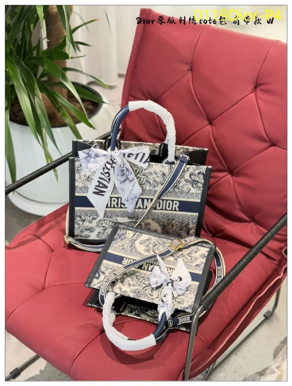 0119Dior P4