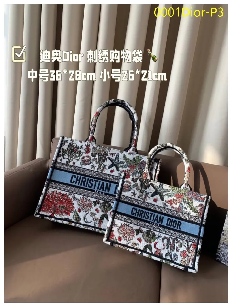 0001Dior P3