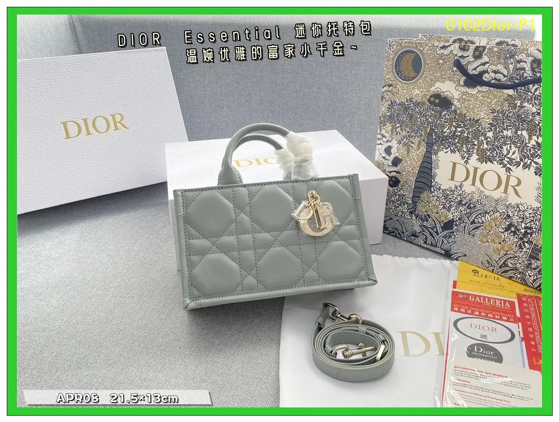 0102Dior P1