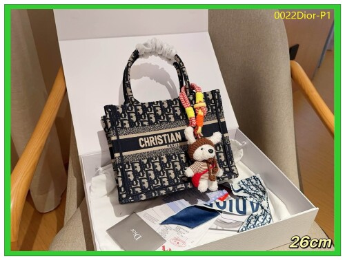 0022Dior P1