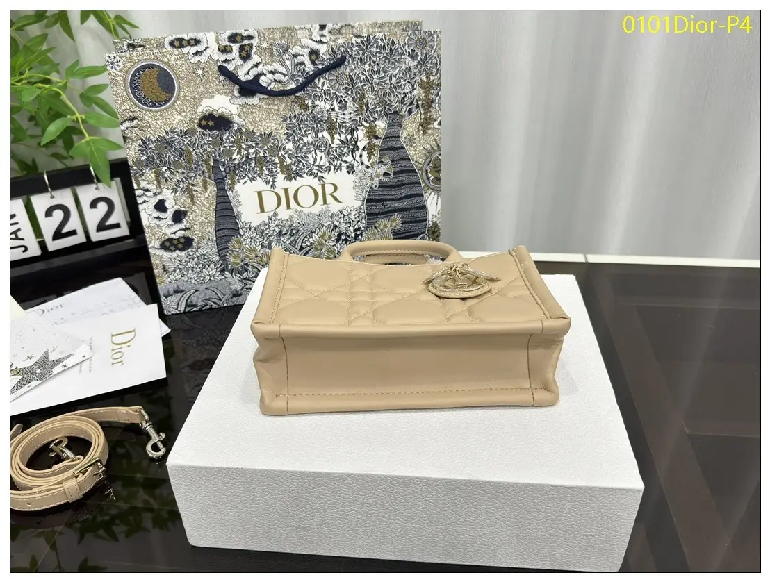 0101Dior P4