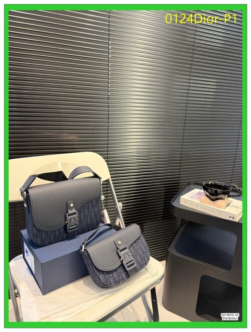0124Dior P1