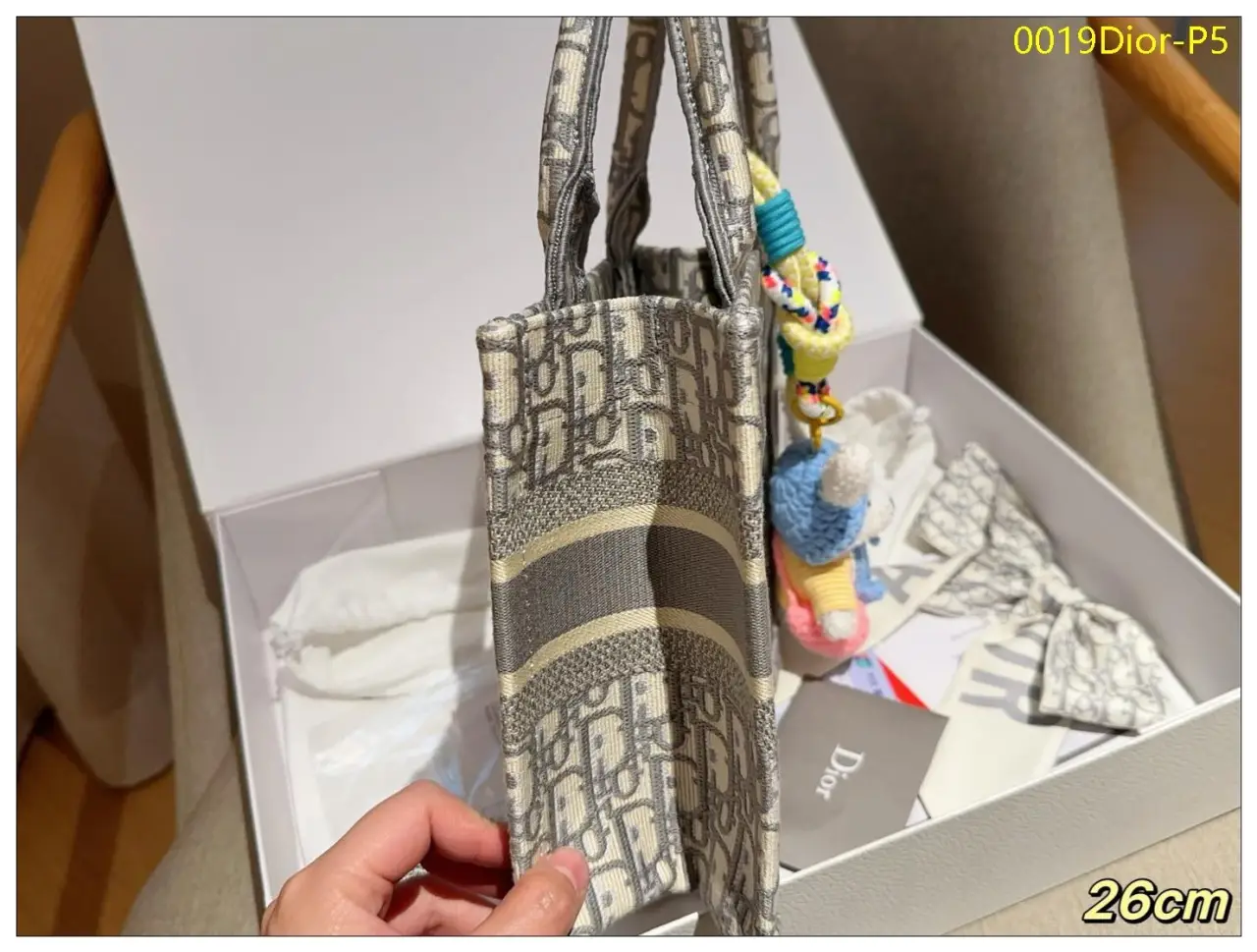 0019Dior P5