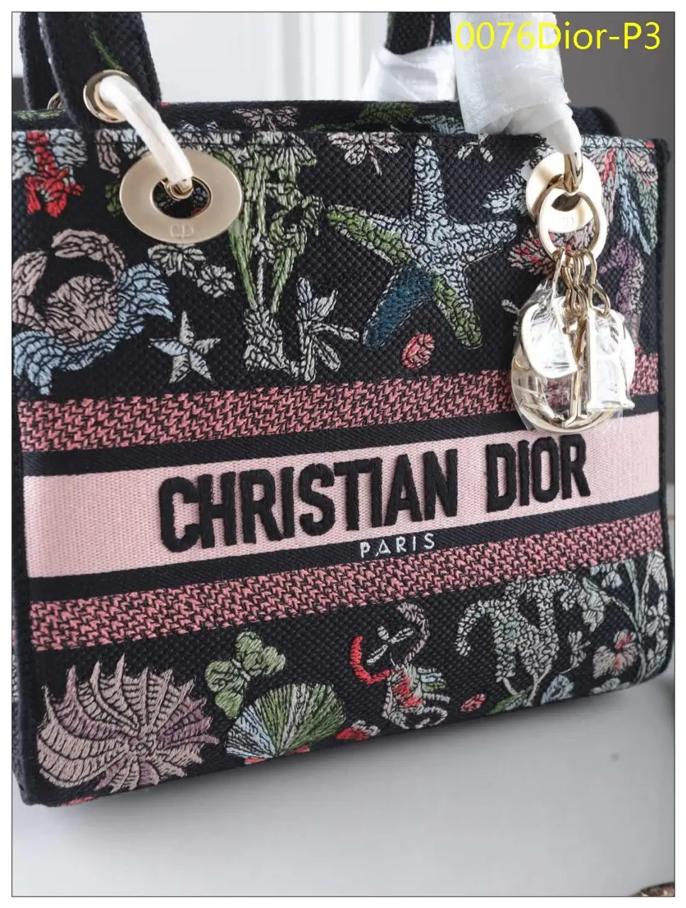 0076Dior P3