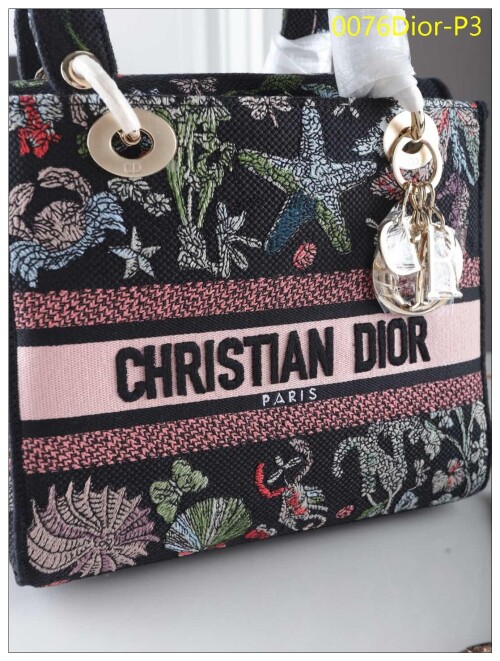 0076Dior P3