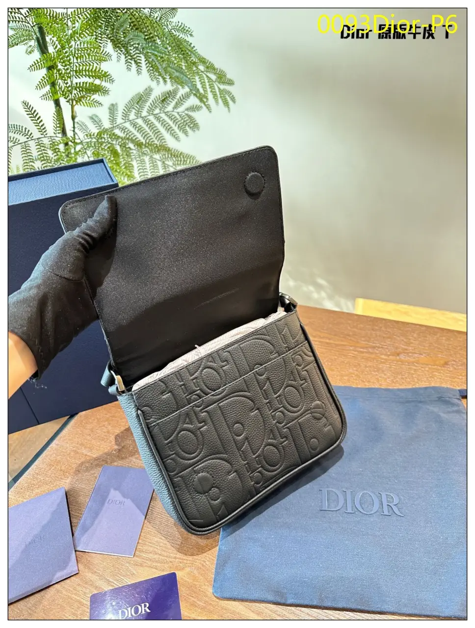 0093Dior P6
