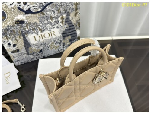 0101Dior P7