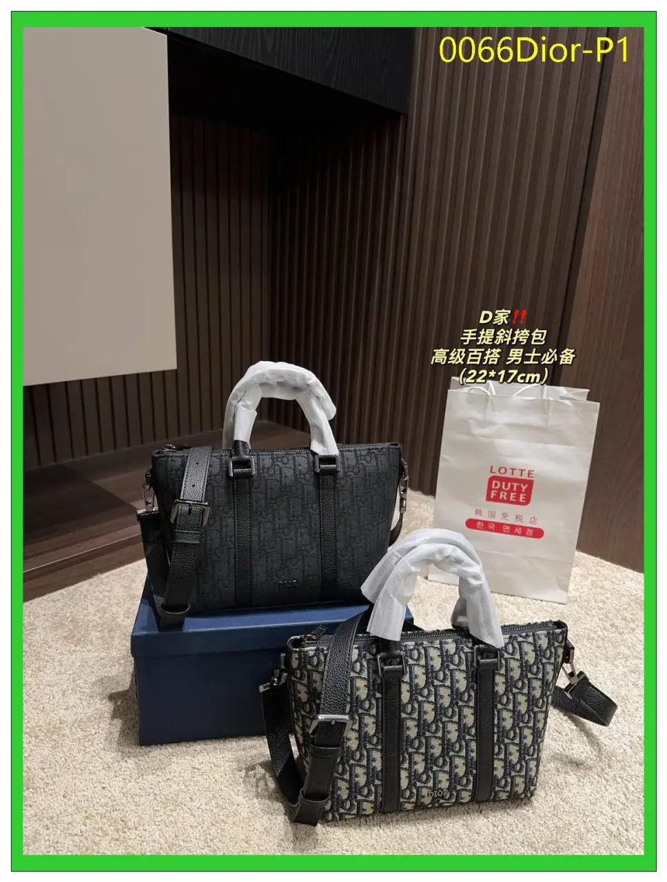 0066Dior P1