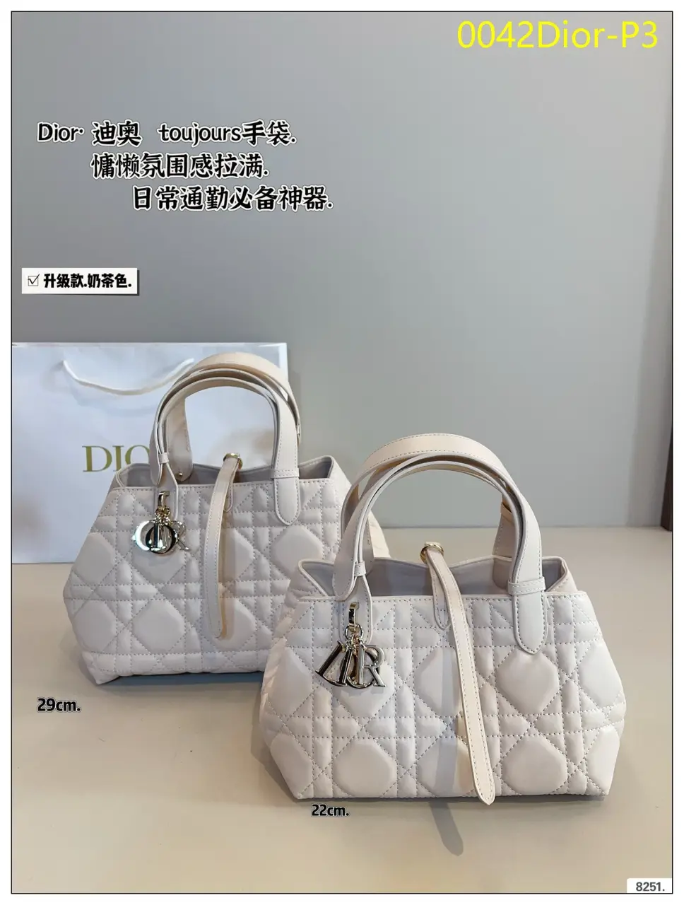 0042Dior P3