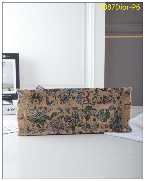 0087Dior P6
