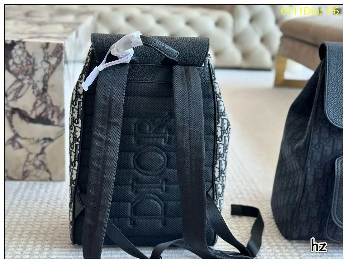 0111Dior P6
