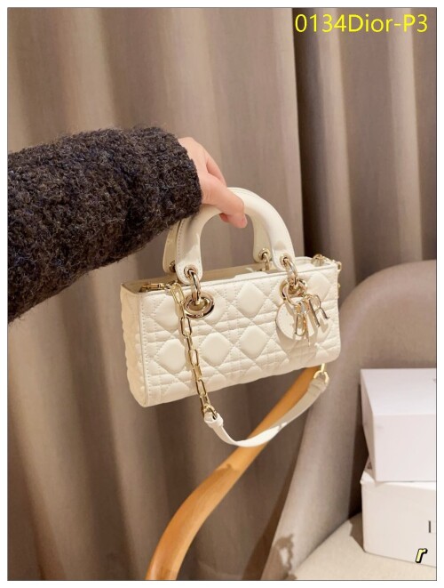 0134Dior P3