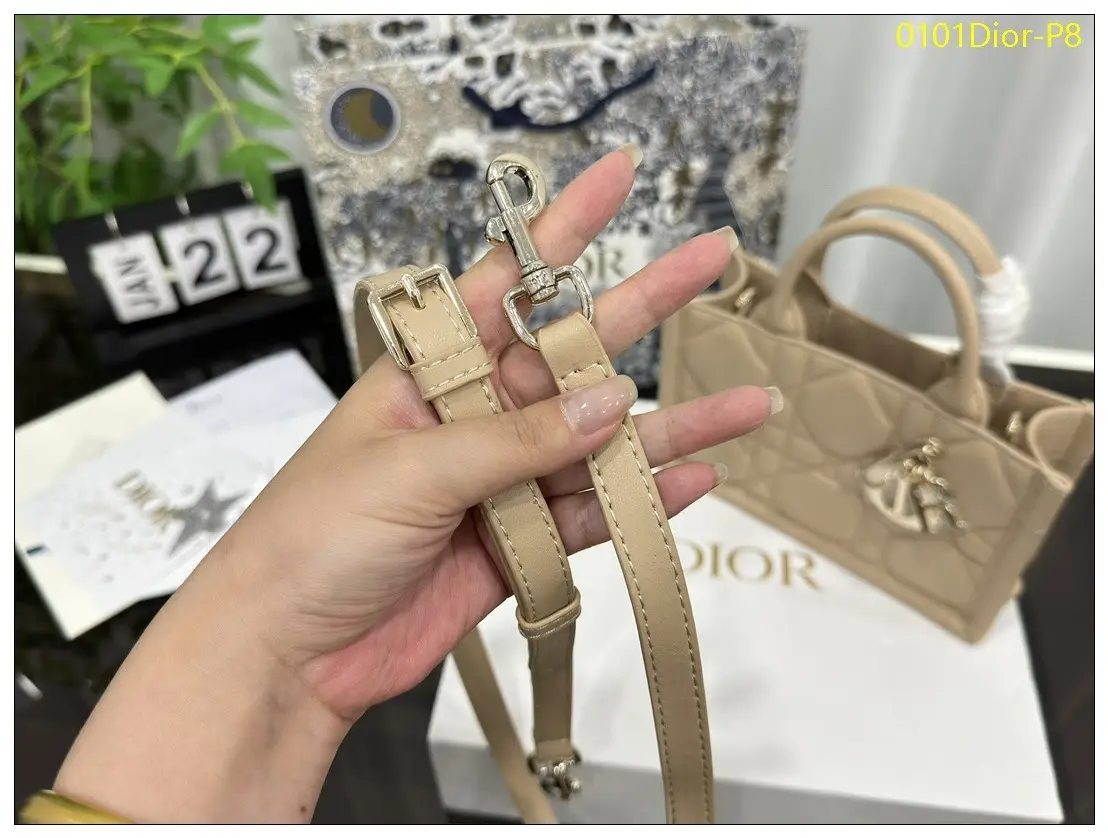 0101Dior P8