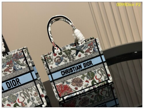 0099Dior P2