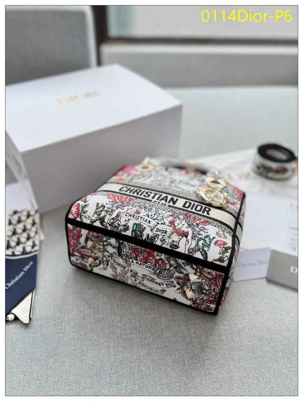 0114Dior P6